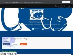 Sites similar to flowerhornrusforum.com