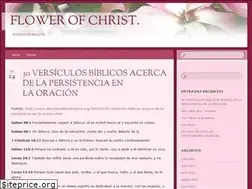 Sites similar to flowerofchrist.wordpress.com