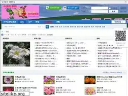 Sites similar to flowerorder.net