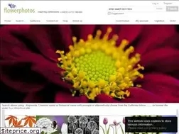 Sites similar to flowerphotos.com
