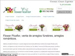 Sites similar to flowerpicaflor.com