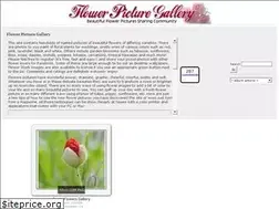 Sites similar to flowerpicturegallery.com