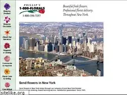 Sites similar to flowers-florist-new-york.com