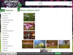 Sites similar to flowers-wallpapers.com