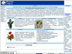 Sites similar to flowers.org.ua