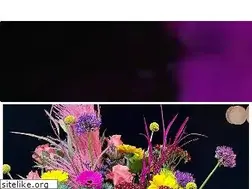 Sites similar to flowers4.co.uk