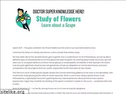 Sites similar to flowerscape.net