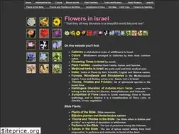 Sites similar to flowersinisrael.com
