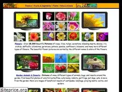 Sites similar to flowersvg.com