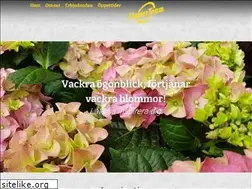 Sites similar to flowerteam.se