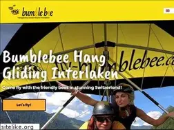 Sites similar to fly-bumblebee.com