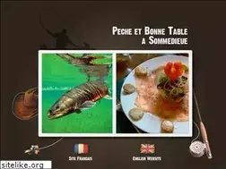 Sites similar to fly-in-sommedieue.com