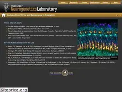 Sites similar to flygen.org