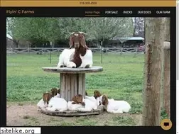 Sites similar to flyincfarms.com