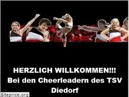 Sites similar to flying-cheetahs.npage.de