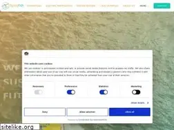 Sites similar to flying-fish.tech