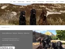 Sites similar to flyingflapjack.de