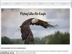 Sites similar to flyinglikeaneagle.com