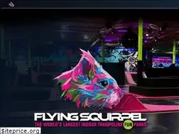 Sites similar to flyingsquirrelsports.ca