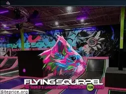 Sites similar to flyingsquirrelsports.us