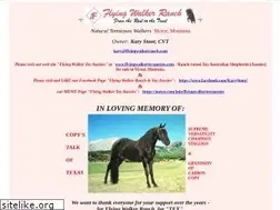 Sites similar to flyingwalkerranch.com