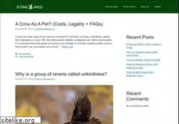 Sites similar to flyingwild.org
