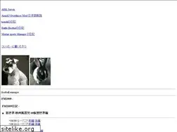 Sites similar to fmfc.jp