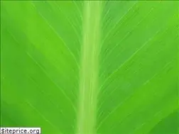 Sites similar to fnshr.info