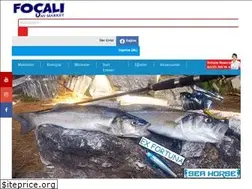 Sites similar to focaliav.com