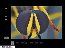 Sites similar to focus-stacking.ch