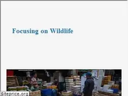 Sites similar to focusingonwildlife.com
