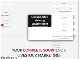 Sites similar to focusmarketinggroup.net