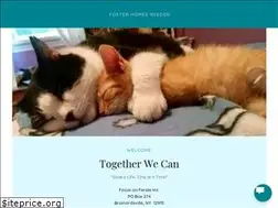 Sites similar to focusonferalstoday.com