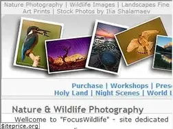 Sites similar to focuswildlife.com