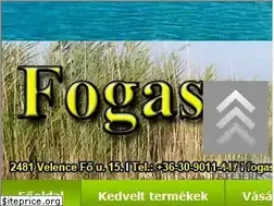 Sites similar to fogashorgaszbolt.hu