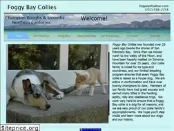 Sites similar to foggybaycollies.com