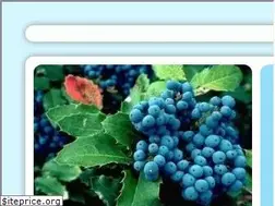 Sites similar to fogyni.hupont.hu