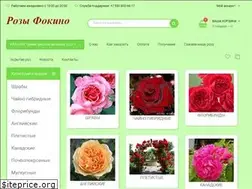 Sites similar to fokinor.ru