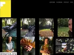 Sites similar to fokuspokusapp.com