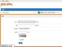 Sites similar to follifollie.com.cn