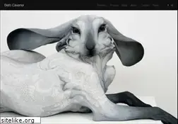 Sites similar to followtheblackrabbit.com