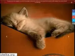 Sites similar to fond-ecran-hd.net