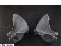Sites similar to fondazioneberengo.org