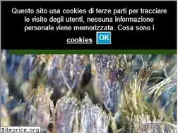 Sites similar to fondazioneratti.org