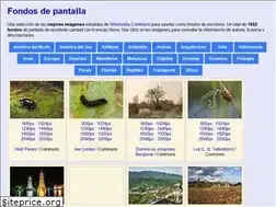 Sites similar to fondos.org.es