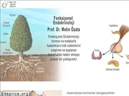Sites similar to fonksiyonelendokrinoloji.com