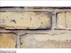 Sites similar to food.ninja
