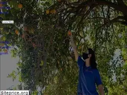 Sites similar to foodforward.org