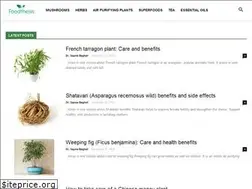 Sites similar to foodthesis.com
