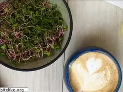Sites similar to foodwoolf.com